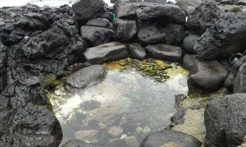 20160406_1428028.jpg?type=w2