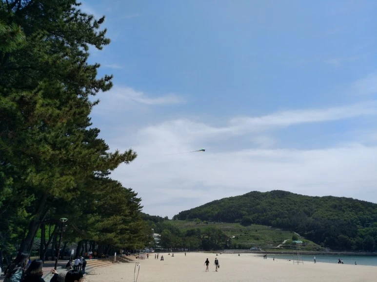 IMG_20180505_114600.jpg?type=w773