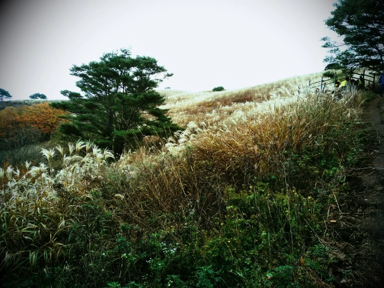 IMG_20171022_115527.jpg?type=w773