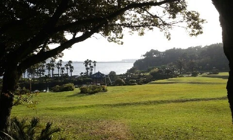 20160415_1737488.jpg?type=w773