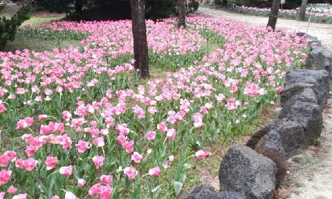 20160407_1049108.jpg?type=w773