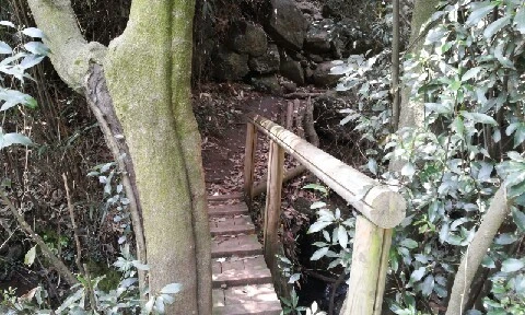 20160419_1136527.jpg?type=w773