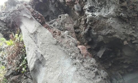 20160405_1650388.jpg?type=w773