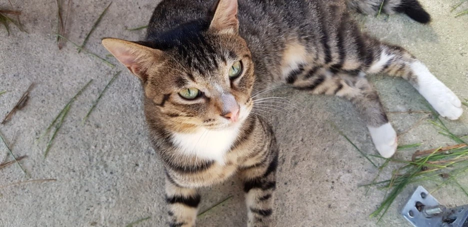 SE-3590451e-5272-49a7-bed2-cf0ee2fa8654.jpg?type=w1