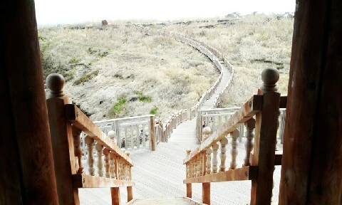 C360_2016-04-11-11-13-11-122.jpg?type=w773