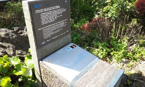 20160417_0939368.jpg?type=w773