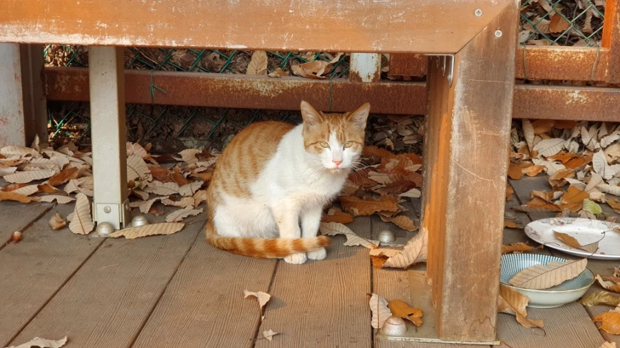 1604748023960%25EF%25BC%258D3.jpg?type=w1