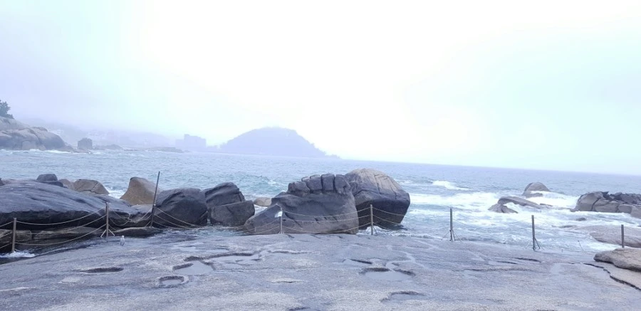 1599230205792.jpg?type=w1