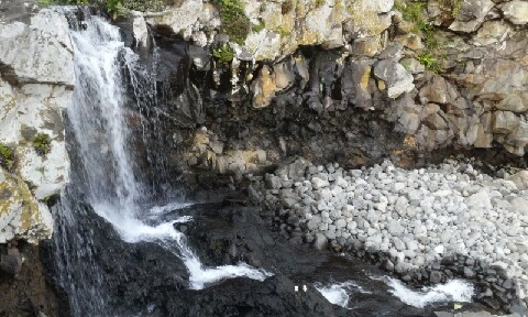 20160415_1800298.jpg?type=w773