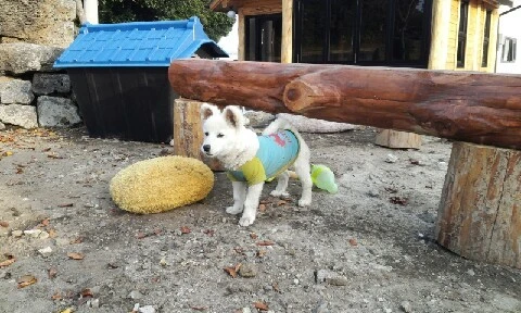 20160414_1735595.jpg?type=w773