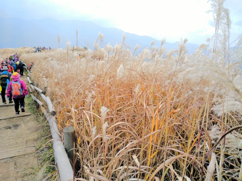 IMG_20171022_123221.jpg?type=w773