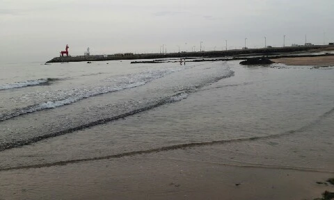 20160405_1820517.jpg?type=w773