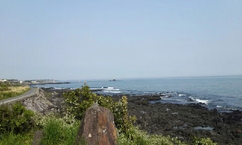 20160414_1612178.jpg?type=w773