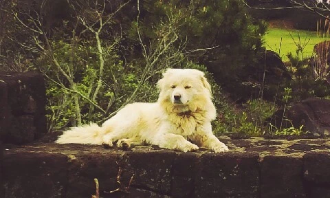 C360_2016-04-07-14-44-11-697.jpg?type=w773