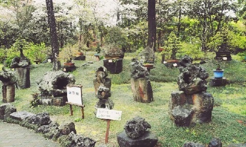 C360_2016-04-07-11-34-28-480.jpg?type=w773