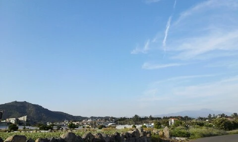 20160418_1731557.jpg?type=w773