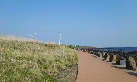 20160419_1642302.jpg?type=w773