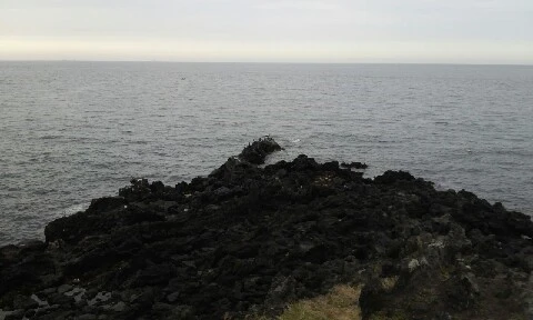 20160405_1644261.jpg?type=w773