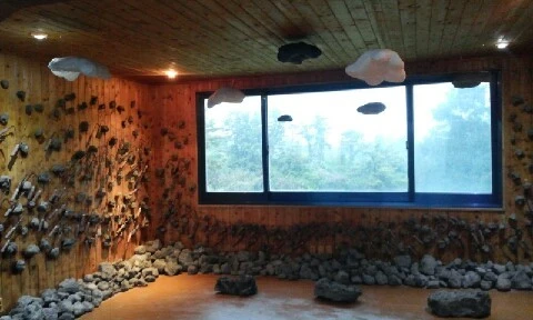 20160416_1527156.jpg?type=w773