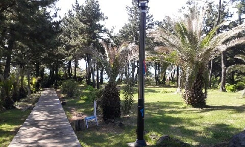 20160417_0941561.jpg?type=w773