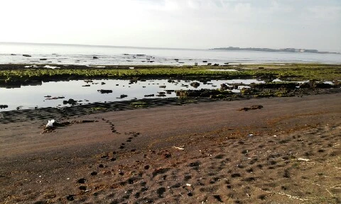 C360_2016-04-09-07-33-12-673.jpg?type=w773