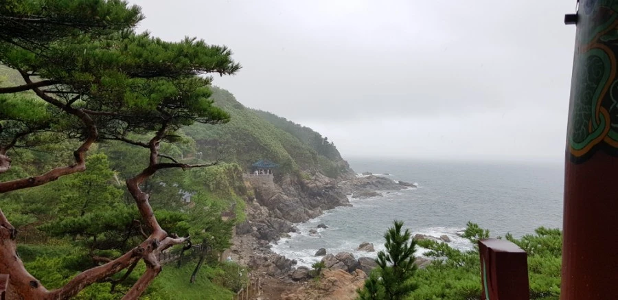 1599230199363.jpg?type=w1