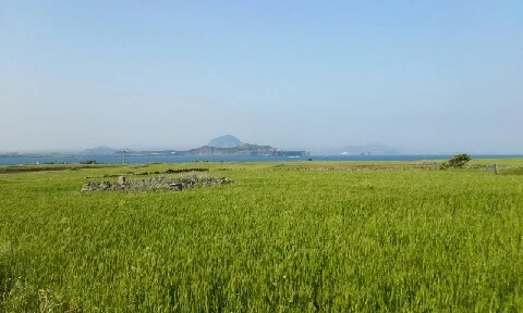 20160419_1706291.jpg?type=w773