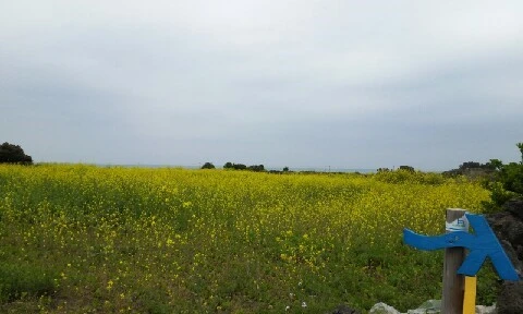 20160412_1305314.jpg?type=w773