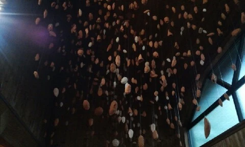 20160416_1526401.jpg?type=w773