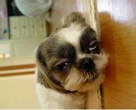 3246252591341024667.jpg?type=w773