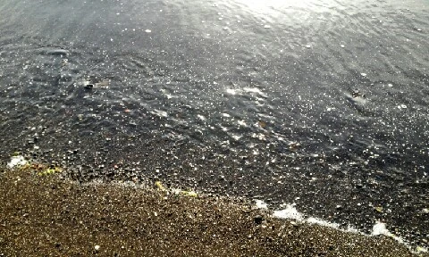 C360_2016-04-09-07-43-30-284.jpg?type=w773