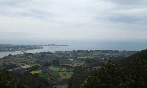 20160413_1158495.jpg?type=w773