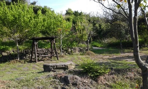 20160418_1637083.jpg?type=w773