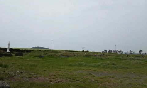 20160420_1238059.jpg?type=w773