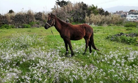 C360_2016-04-10-16-27-38-180.jpg?type=w773