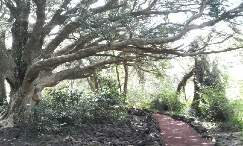 C360_2016-04-09-10-28-37-061.jpg?type=w773