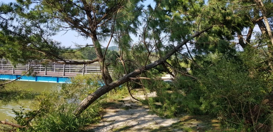 1599230602597.jpg?type=w1