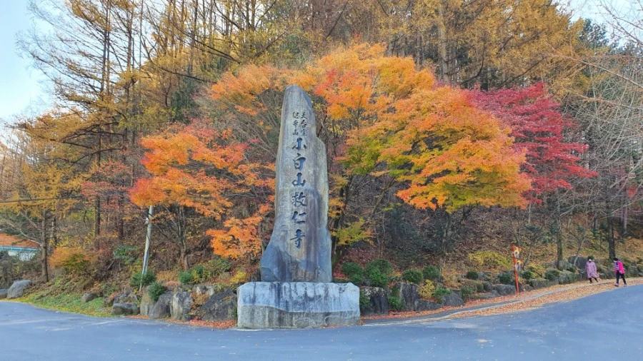 1604840420468%25EF%25BC%258D16.jpg?type=w1