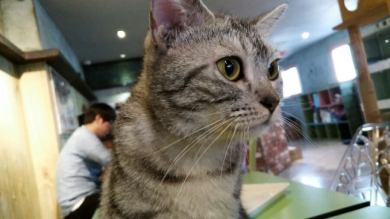 IMG_20170603_182444.jpg?type=w773