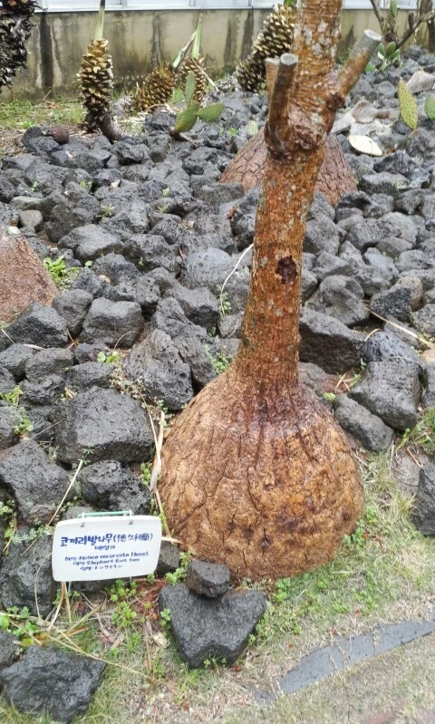 20160407_1024206.jpg?type=w773