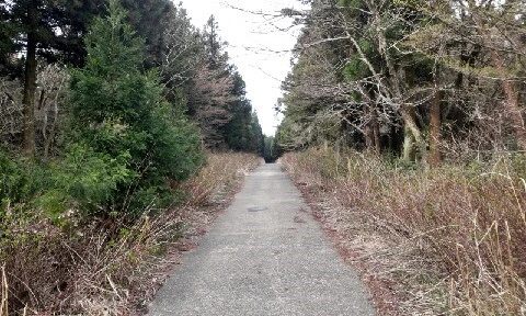 C360_2016-04-08-09-36-14-873.jpg?type=w773