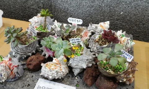 20160412_1509017.jpg?type=w773