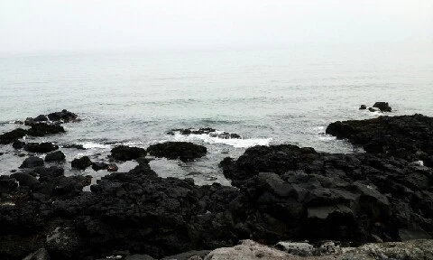 C360_2016-04-11-09-08-36-299.jpg?type=w773