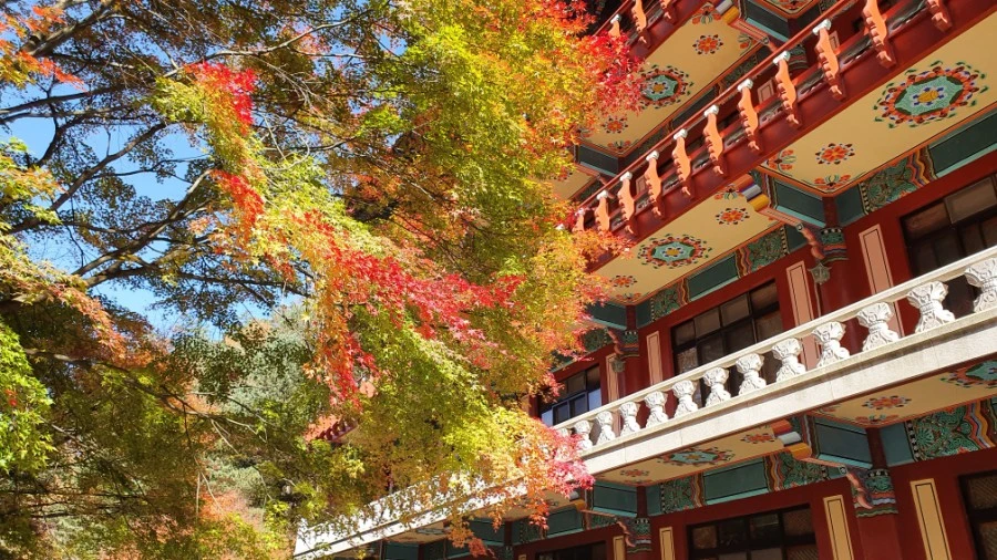 1604840420468%25EF%25BC%258D21.jpg?type=w1