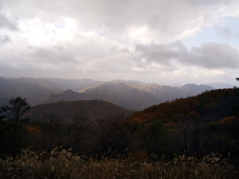 IMG_20171022_115725.jpg?type=w773