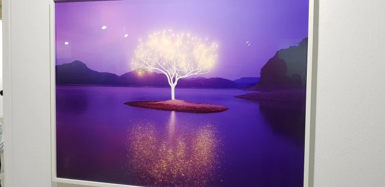 20190223_151911.jpg?type=w773