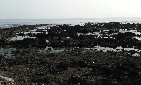 20160414_1714321.jpg?type=w773