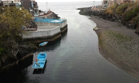 20160405_1713319.jpg?type=w773