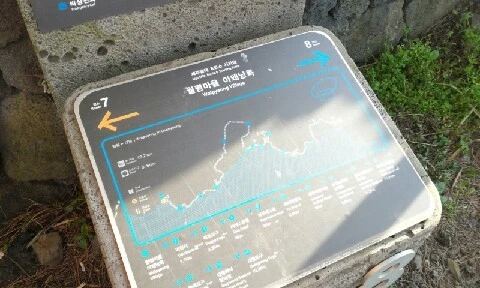 20160417_1731473.jpg?type=w773