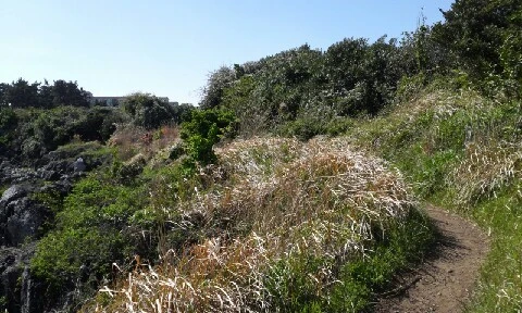 20160417_1514112.jpg?type=w773